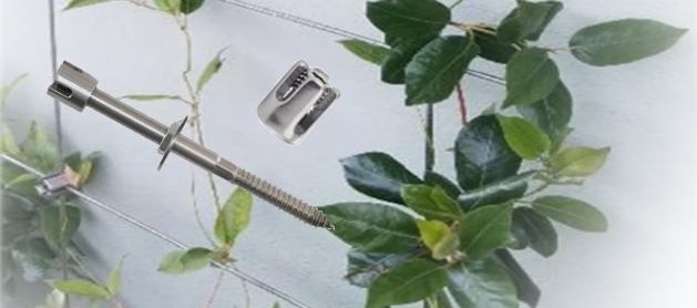 ᐅ Câble en Inox pour Plantes Grimpantes