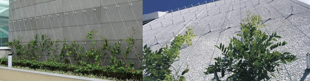 1 Ensembles de treillis métalliques pour plantes grimpantes à l'extérieur,  fixation en acier inoxydable 316, kit de treillis en fil de fer mural vert  A