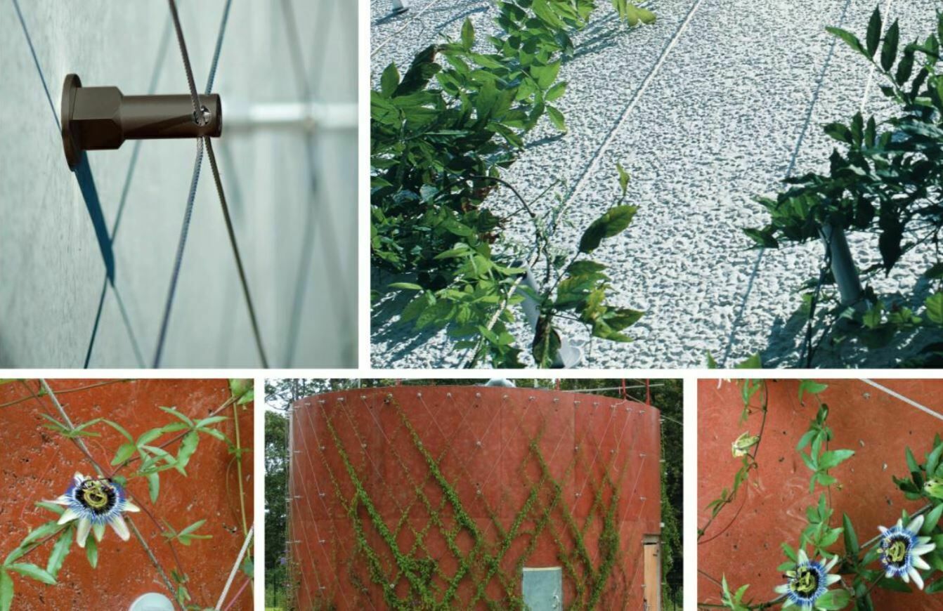 50 Pièces Montage Mural d'Escalade De Plantes, Clip Fixation Mur Végétal,  Support Vignes En Forme Feuille, Clips Montage Mural d'Escalade Plantes